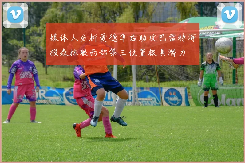 媒体人分析爱德华兹助攻巴雷特海报森林狼西部第三位置极具潜力